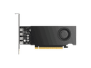 PNY RTX 2000E ADA VCNRTX2000ADAS-LLP 16GB 128-bit GDDR6 PCI Express 4.0 x8 Graphics Card